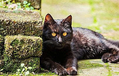 3DM速报：《Dota2》Aster部分队员染疫情 《战地2042》10月6日B测